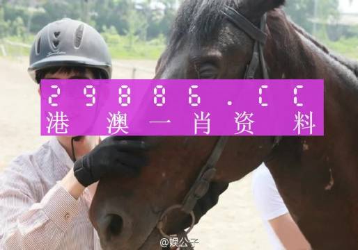 澳门今晚一肖一码1009995全面释义、解释与落实-艺界版